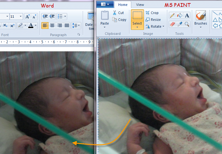 Word 2009 and MS Paint sync in Windows 7